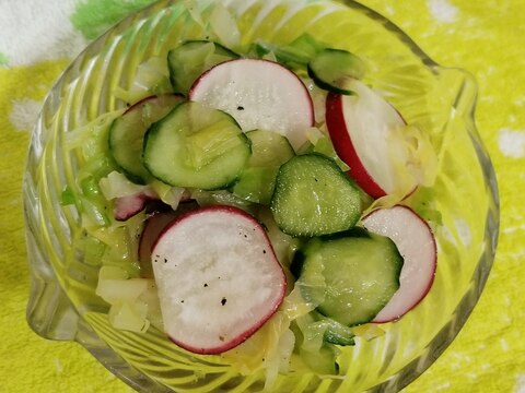 ラディッシュと野菜のピクルス